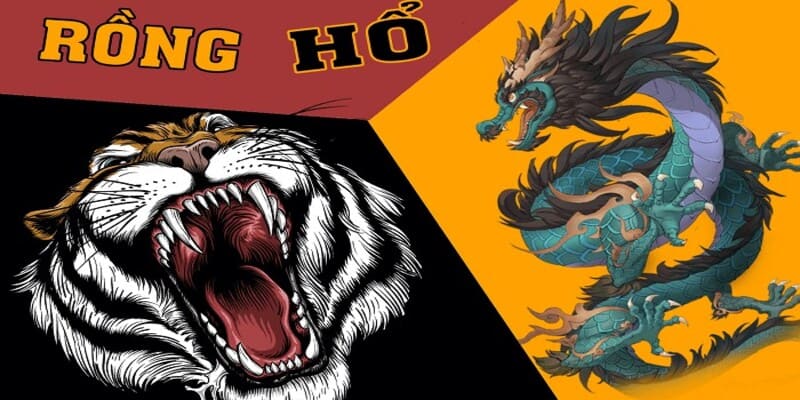 Người mới ưu tiên chọn các trò đánh bài dễ ban đầu